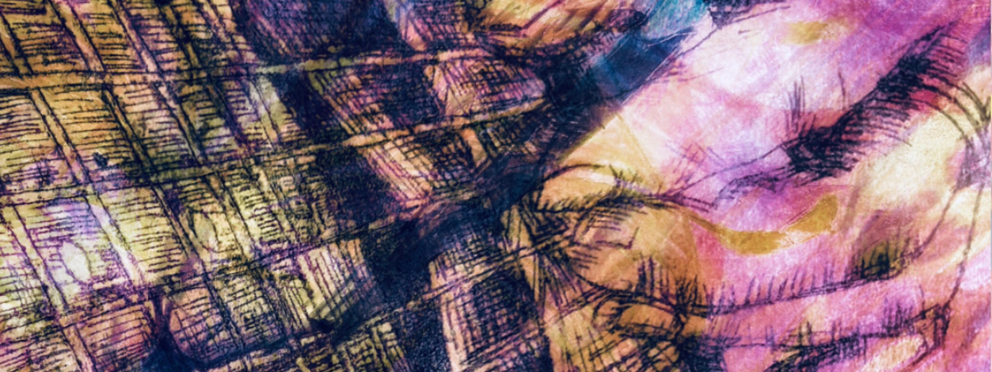 Header Image 1